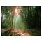 Designart - Amazing Green Forest at Sunset - Landscape Canvas Art Print